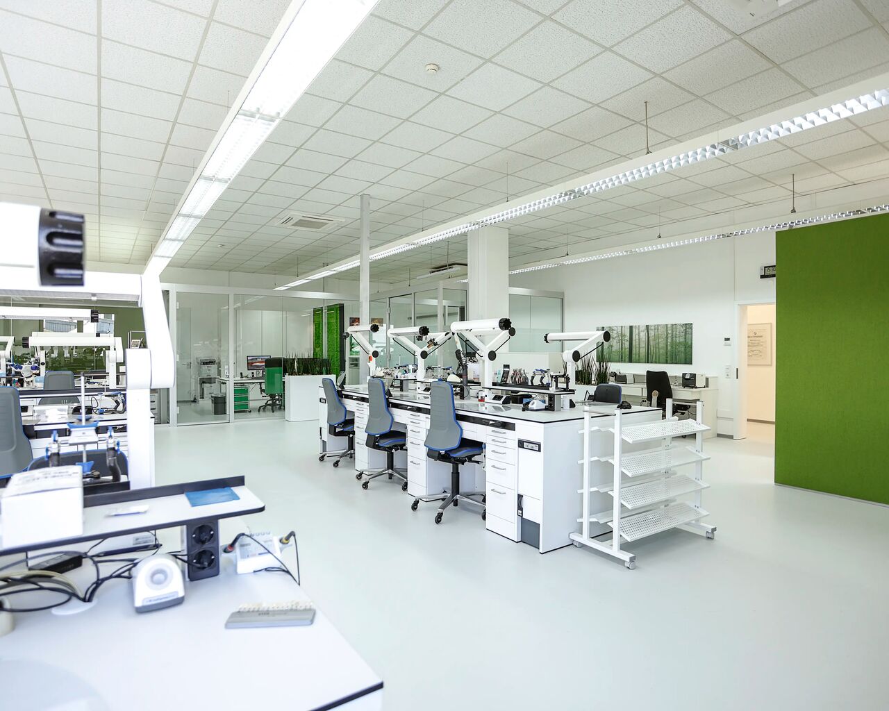 Dentallabor Mandel in Frankenthal